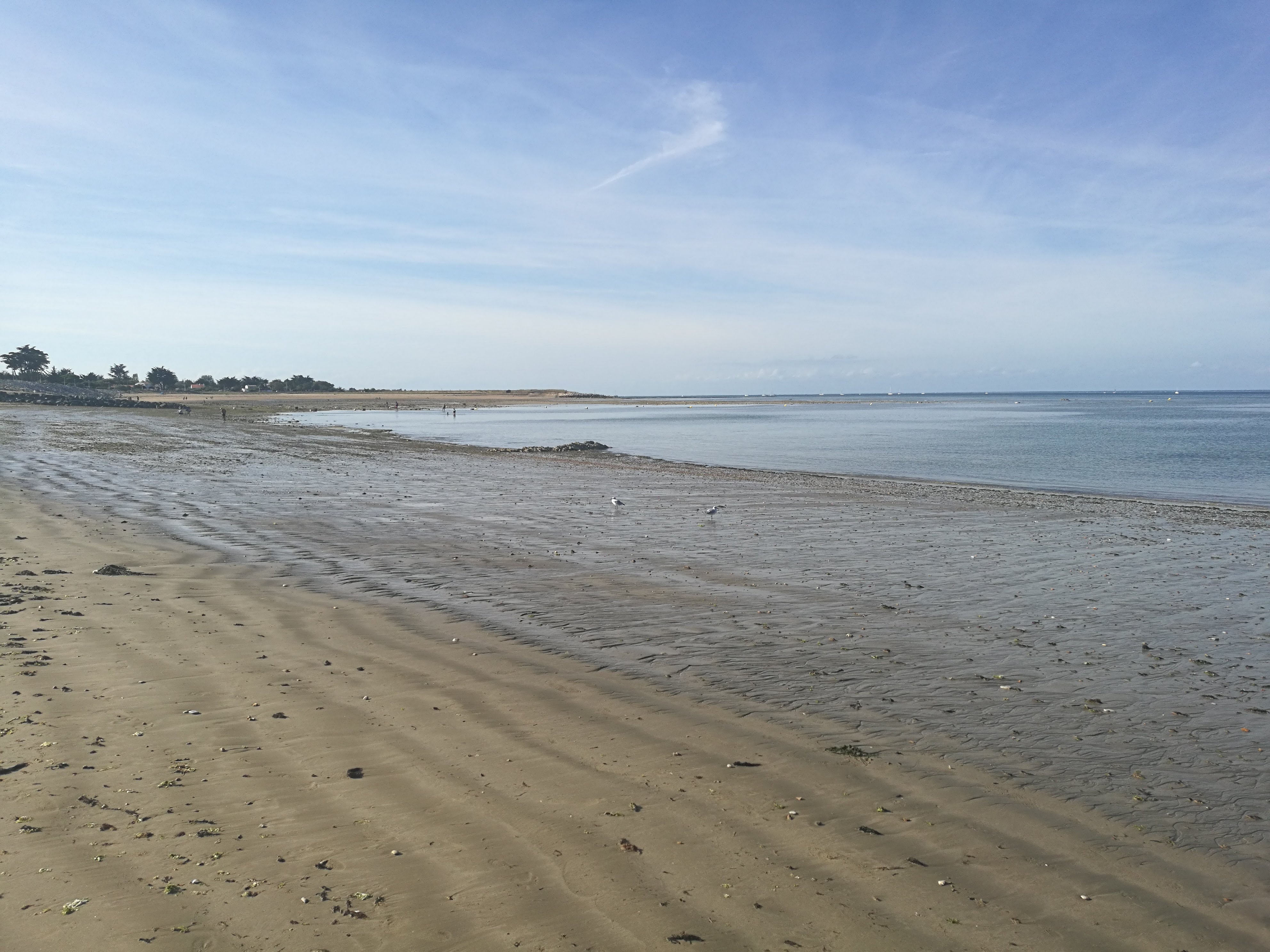 Photo n° 2 de l'avis de Sandrine.a fait le 13/09/2022 à 14:00