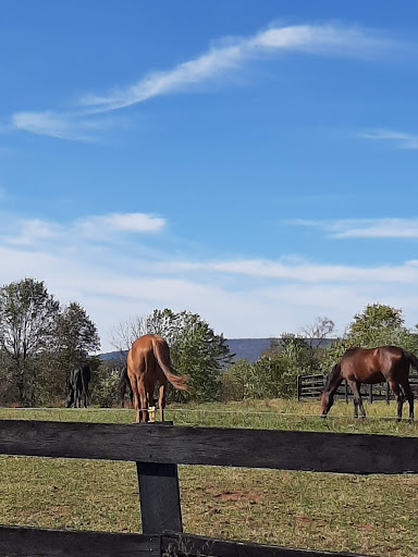 7702 Roddy Creek Rd, Thurmont, MD 21788, USA