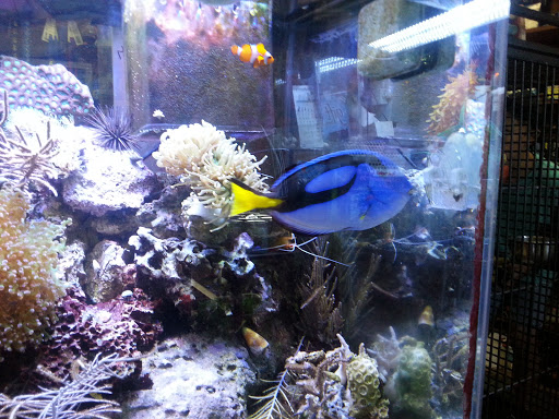 Pet Supply Store «Pet Station Jackson», reviews and photos, 1617 E Michigan Ave, Jackson, MI 49202, USA