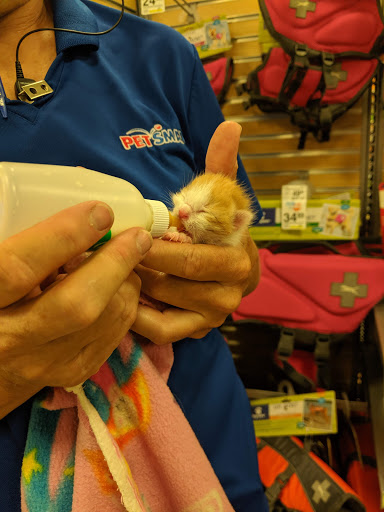 Pet Supply Store «PetSmart», reviews and photos, 28533 Marlboro Ave, Easton, MD 21601, USA