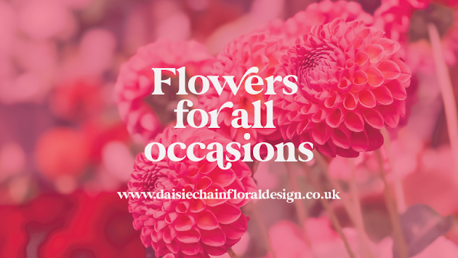 Reviews of Daisie Chain Floral Design in Plymouth - Florist