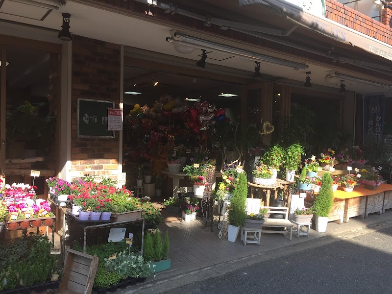 flower shop 東花園