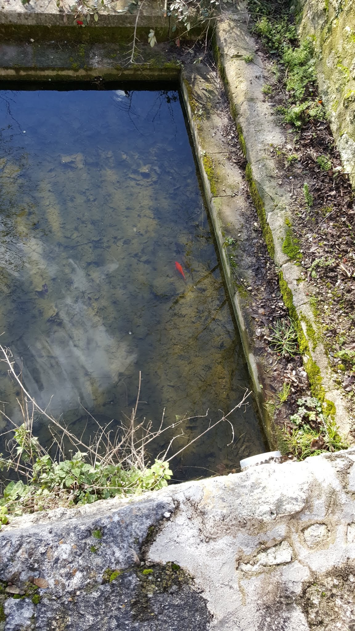 Photo n° 7 de l'avis de Emmanuel.a fait le 21/11/2019 à 16:15