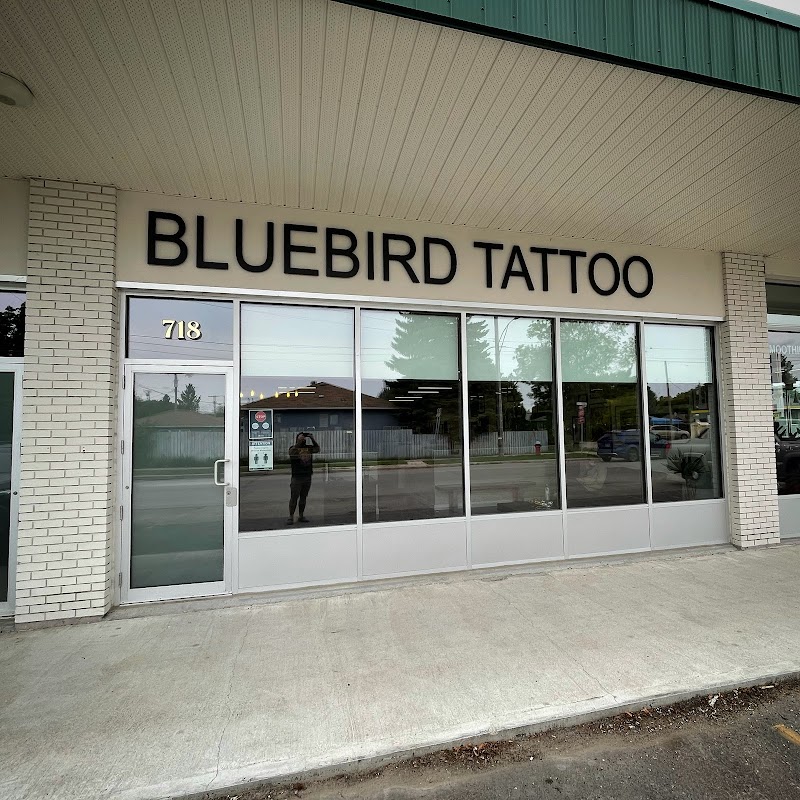 Bluebird tattoo