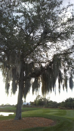 Golf Course «Celebration Golf Club», reviews and photos, 701 Golfpark Dr, Kissimmee, FL 34747, USA