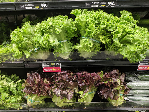 Grocery Store «Food Lion», reviews and photos, 136 Cedar Grove Rd, Ruckersville, VA 22968, USA