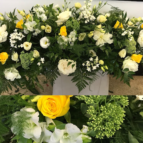 Comments and reviews of Foxtail Florist