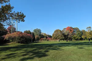 Pebblestone Golf Course image