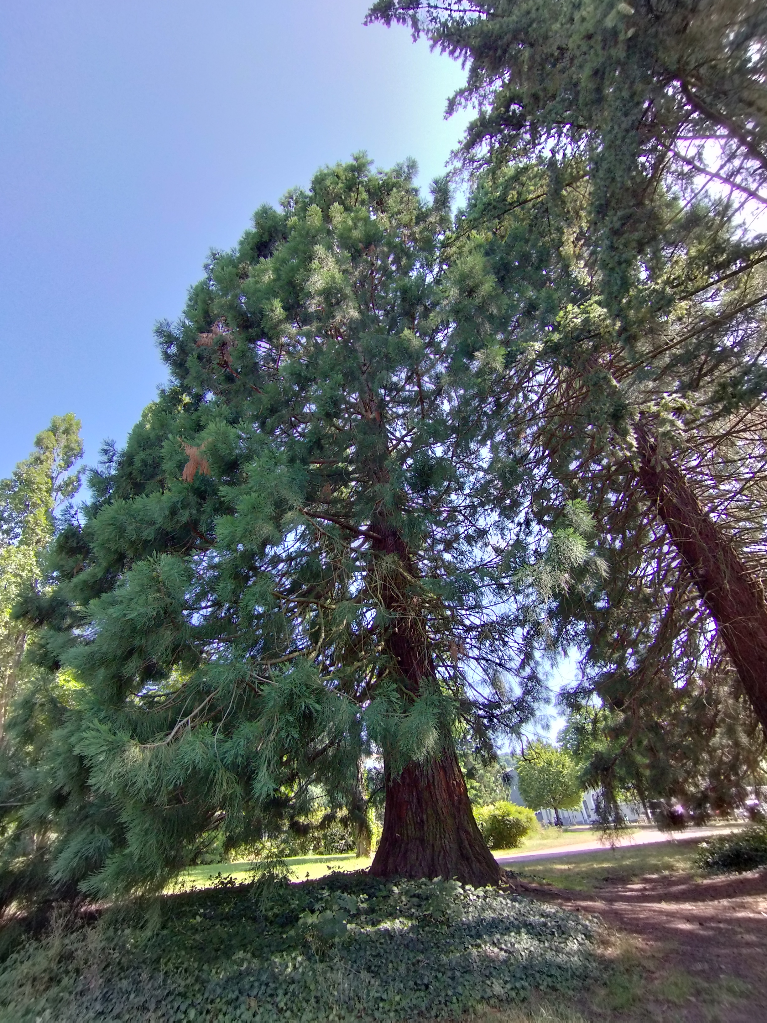 Photo n° 1 de l'avis de Max.a fait le 20/07/2023 à 17:39