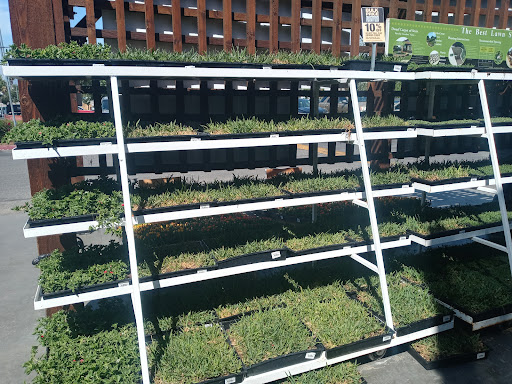 Home Improvement Store «The Home Depot», reviews and photos, 6345 Variel Ave, Woodland Hills, CA 91367, USA