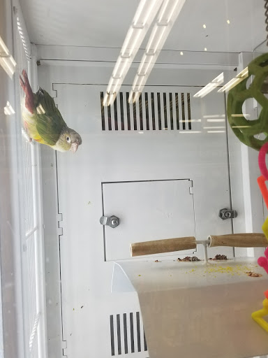 Pet Supply Store «Petco Animal Supplies», reviews and photos, 1985 N Pebble Creek Pkwy, Goodyear, AZ 85395, USA