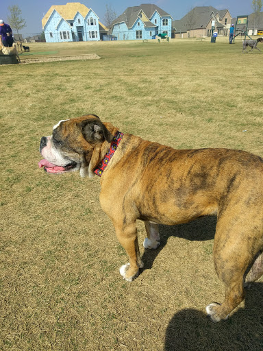 Dog Park «Freedom Dog Park», reviews and photos, 2675 Trophy Park Dr, Roanoke, TX 76262, USA