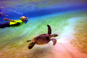Hawai‘i Surf and Kayak image