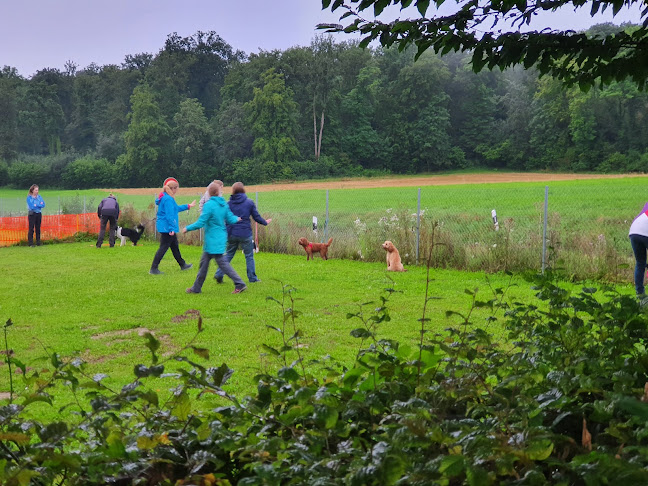 Rezensionen über Hundesport Allschwil in Delsberg - Hundeschule