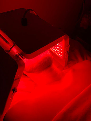 Waxing Hair Removal Service «Skinterest Skin Care Boutique», reviews and photos, 11 N 3rd St, Easton, PA 18042, USA