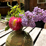 Photo n°1 de l'avis de Janka.o fait le 20/05/2020 à 17:51 sur le  Waldcafé & Biergarten Meyers Hausstelle à Rostock