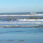 Photo n°2 de l'avis de Claudio.i fait le 07/01/2022 à 13:48 sur le  Piadina di Monica & Giorgio à Cervia