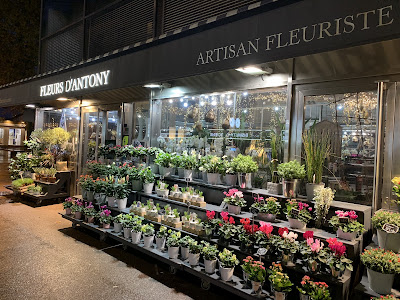 Fleurs d'Antony à Antony