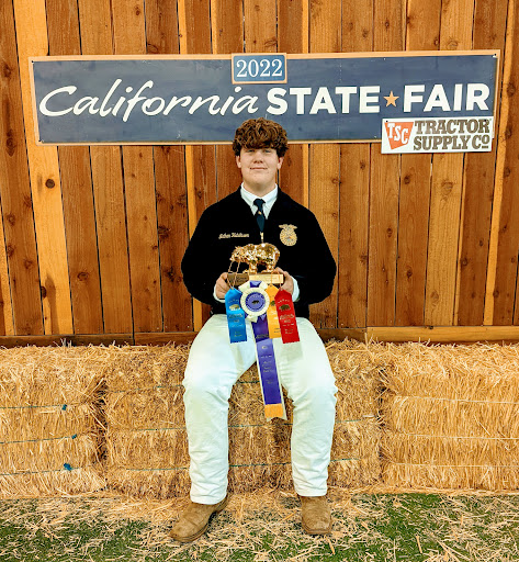 Pet Supply Store «Western Feed & Pet Supply», reviews and photos, 5935 Don Way, Carmichael, CA 95608, USA