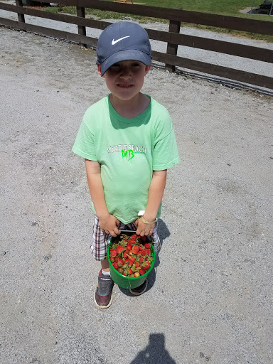 Farm «Warbington Farms (U-Pick Strawberries)», reviews and photos, 5555 Crow Rd, Cumming, GA 30041, USA