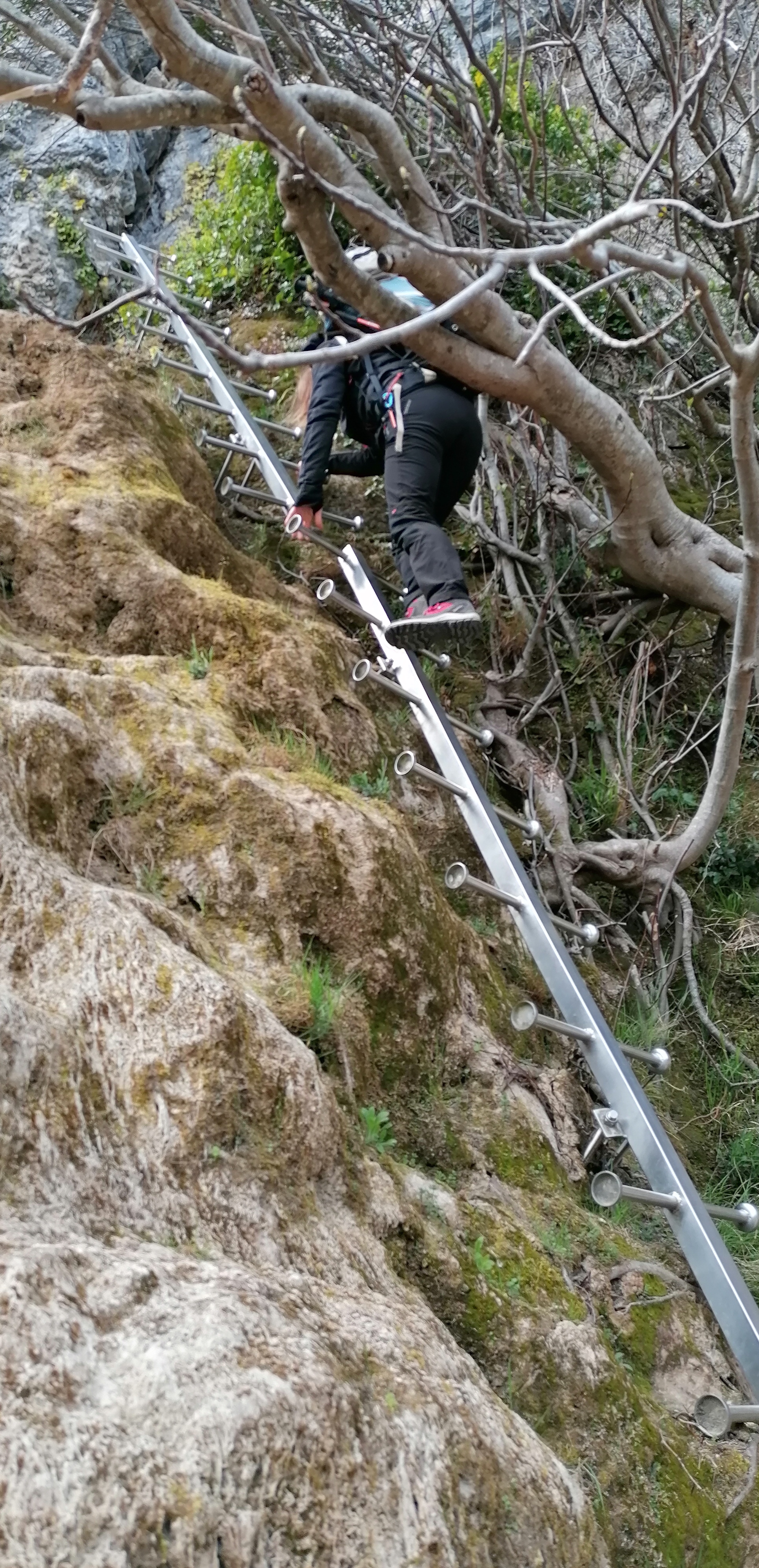 Photo n° 2 de l'avis de Olivier.u fait le 05/04/2022 à 18:02