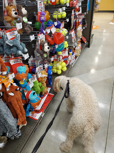 Pet Supply Store «Petco Animal Supplies», reviews and photos, 15895 Pines Blvd, Pembroke Pines, FL 33028, USA