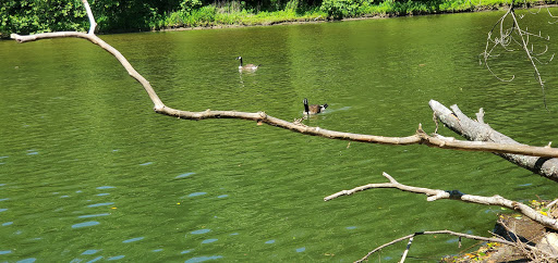 State Park «Patapsco Valley State Park», reviews and photos, 8020 Baltimore National Pike, Ellicott City, MD 21043, USA