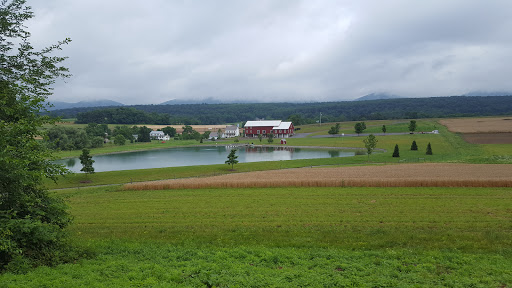 Golf Club «Lost Creek Golf Club», reviews and photos, 28983 PA-35, Oakland Mills, PA 17076, USA