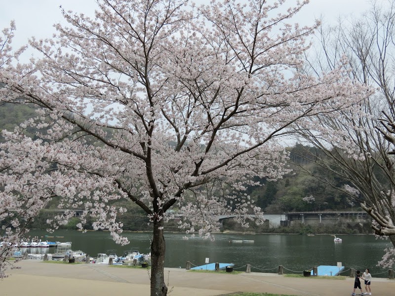 相模湖公園 駐車場