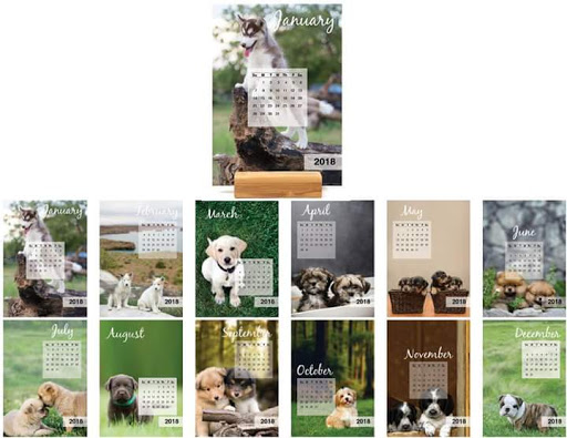 Digital Printer «Carousel Checks Inc», reviews and photos, 8906 Harlem Ave, Bridgeview, IL 60455, USA