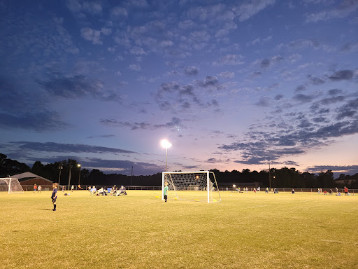 Central Park’s Compact Lushness Holds Just 12 Football Fields