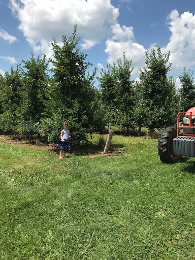 Farm «Manoff Market Gardens», reviews and photos, 3157 Comfort Rd, Solebury, PA 18963, USA