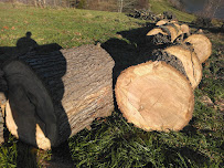 landscaping and tree services. - Photo 3 - Car repair in Charlottesville, VA, Charlottesville