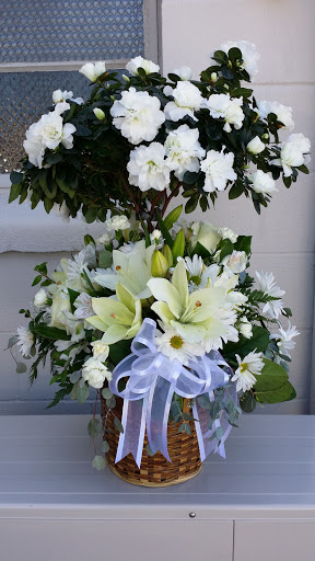 Florist «Village Flowers & Gifts», reviews and photos, 527 W Lodi Ave, Lodi, CA 95242, USA