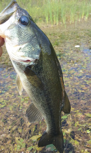 Movie Theater «AMC Classic Grove City 14», reviews and photos, 4218 Buckeye Pkwy, Grove City, OH 43123, USA