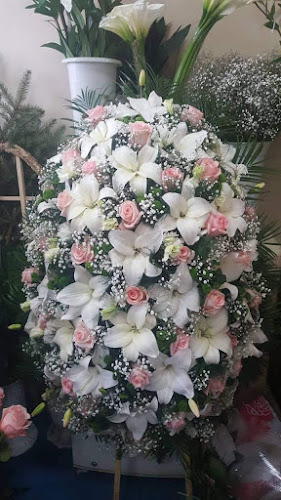 Opinii despre Траурна агенция ТЕРА în Перник - Погребална агенция