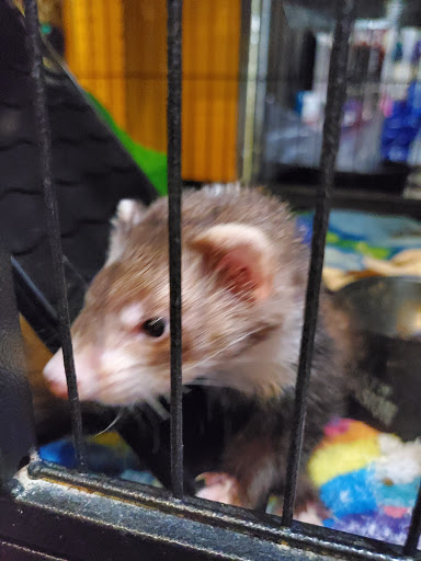 Pet Store «Pets Plus Inc», reviews and photos, 2610 Jefferson Davis Hwy, Stafford, VA 22554, USA