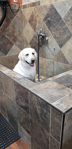 Pet Store «Pet Valu», reviews and photos, 99 E Main Rd, Middletown, RI 02852, USA