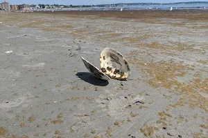 Nahant Beach And Playground image