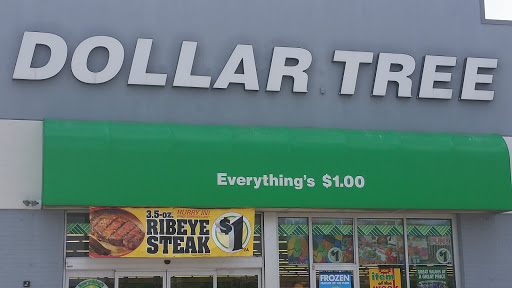 Dollar Store «Dollar Tree», reviews and photos, 1031 E Oakton St, Des Plaines, IL 60018, USA
