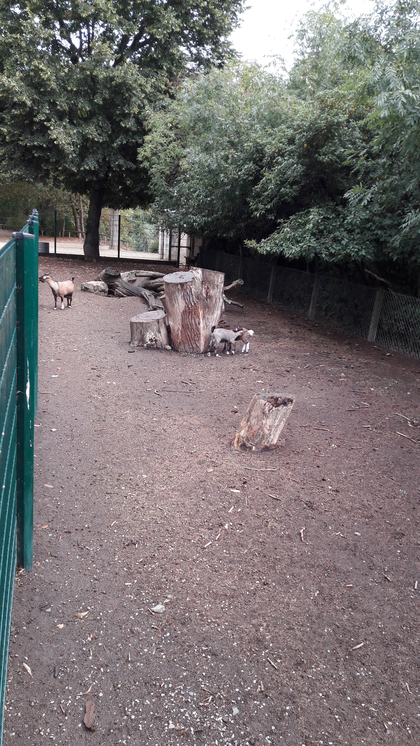 Photo n° 8 de l'avis de Yannick.a fait le 12/08/2017 à 20:59