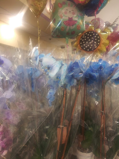 Grocery Store «Stop & Shop», reviews and photos, 150 West End Ct, Long Branch, NJ 07740, USA