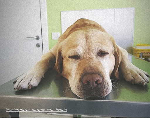Clínica Veterinaria Parque San Benito en San Cristobal de La Laguna (San Benito)