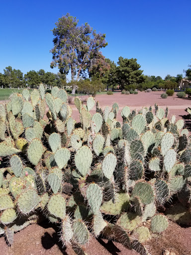 Golf Resort «Wigwam Golf Club», reviews and photos, 451 N Old Litchfield Rd, Litchfield Park, AZ 85340, USA