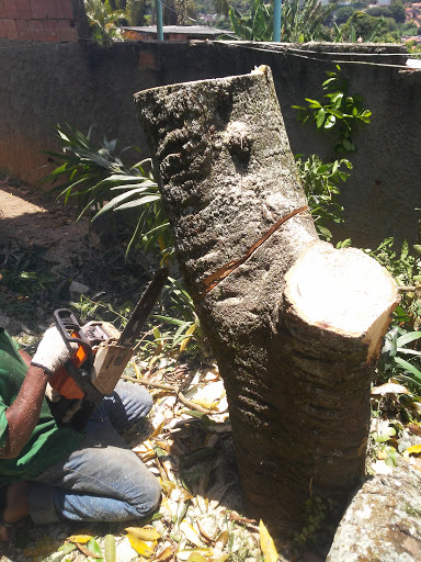 Logo da empresa - Jardinagem sapê