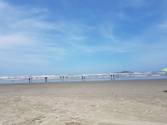Gaivotas Plajı