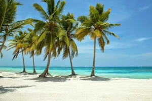 Punta Cana Tours image