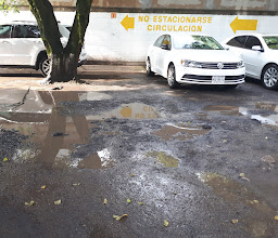 Bikram Yoga San Angel photo