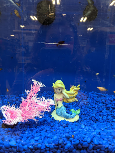 Pet Supply Store «PetSmart», reviews and photos, 9887 76th St, Pleasant Prairie, WI 53158, USA