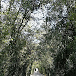 Photo n°21 de l'avis de Pedro.e fait le 16/10/2020 à 21:31 sur le  Parador Casa da Ínsua à Penalva do Castelo